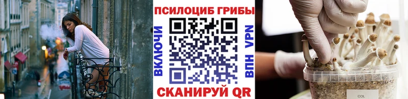 Галлюциногенные грибы Psilocybe  Купить  Монино 